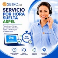 Asesoría y Soporte Técnico Aspel Por Hora (Atención Bajo Demanda)