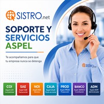 Servicios y Soporte Aspel